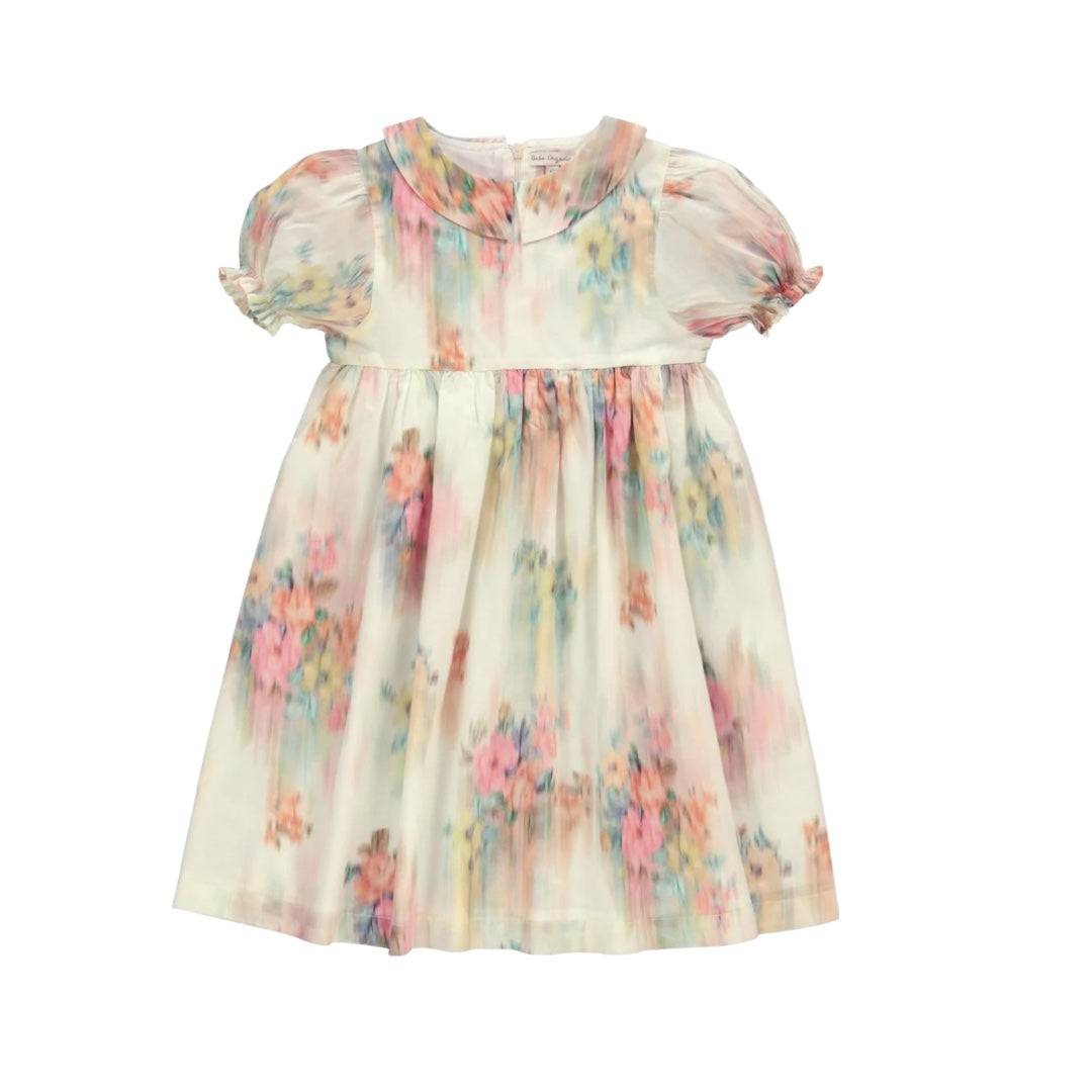 Bebe Organic Nostalgic Florals Paris Dress