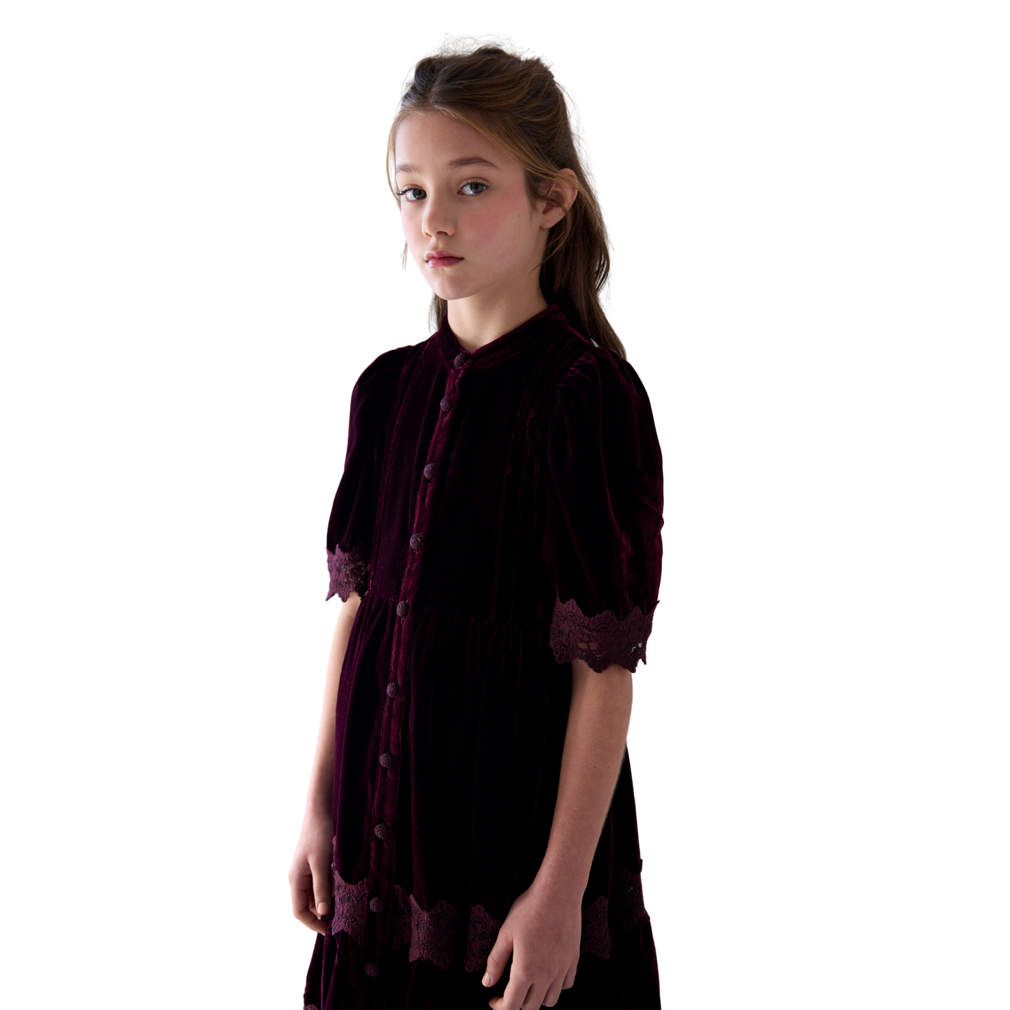 Petite Amalie Dark Cherry Lace Velvet Midi Dress