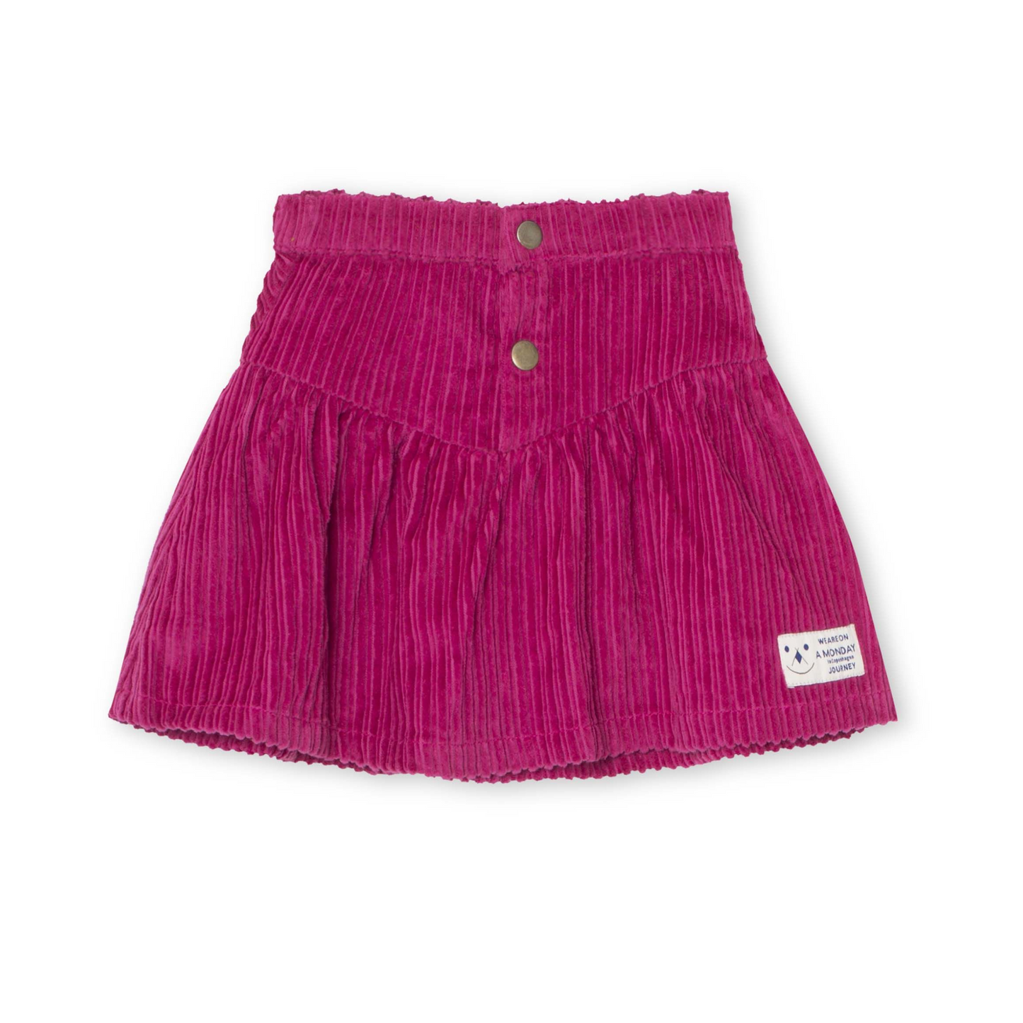 A Monday Celine Skirt