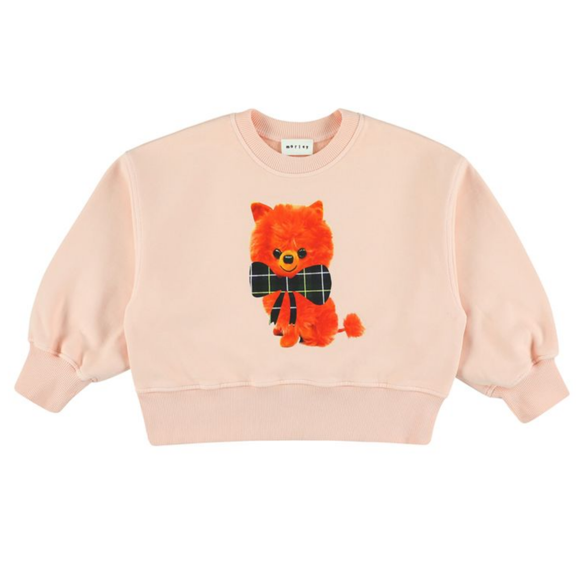 Morley Print Sweatshirt
