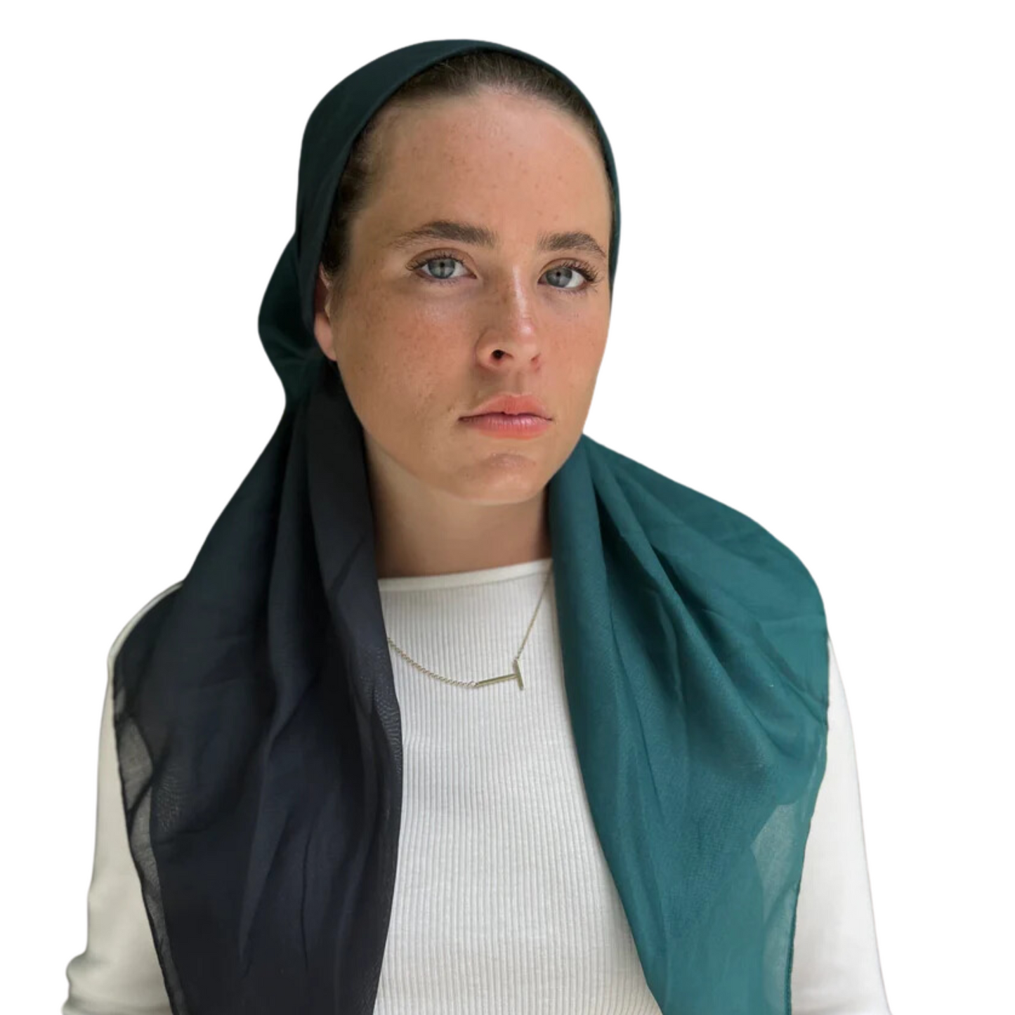 The Scarf Bar Classic Pretied Ombre With Velvet Grip