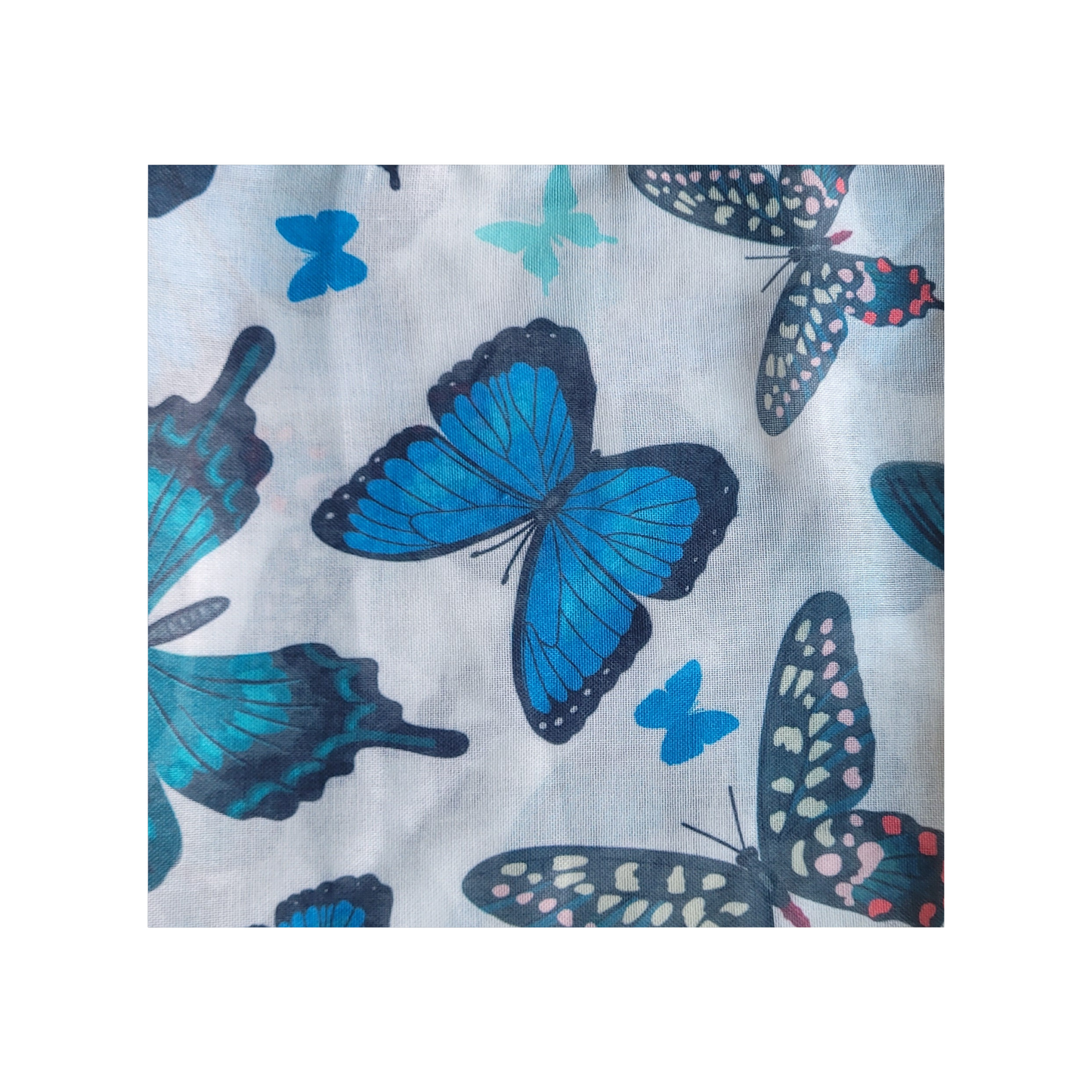 Tal Butterfly +Hidden Grip Headscarf