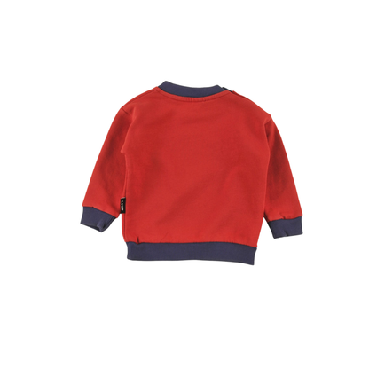 Loud Red Check Team Mountain Long Sleeve Sweatshirt