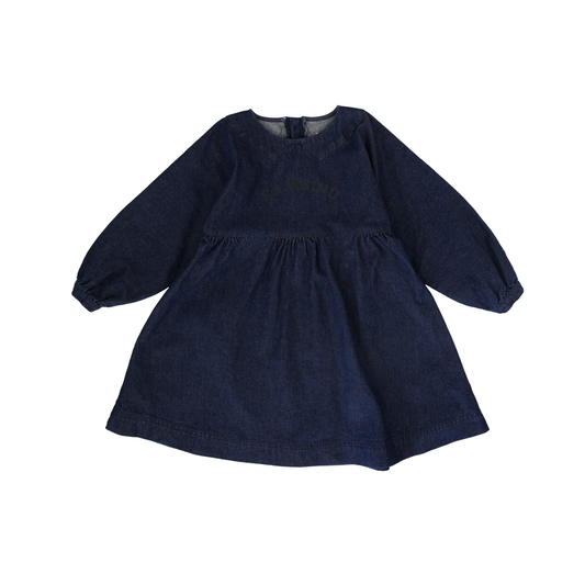 Analogie Blue Denim Denim Day Dress