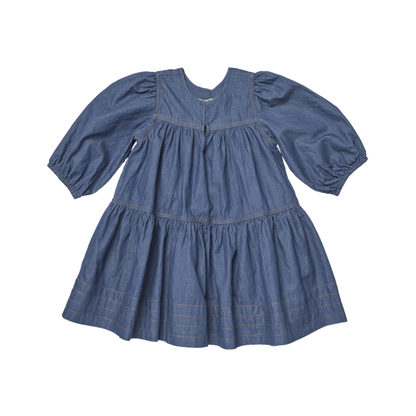 Pink Chicken Chambray Sawyer Dress