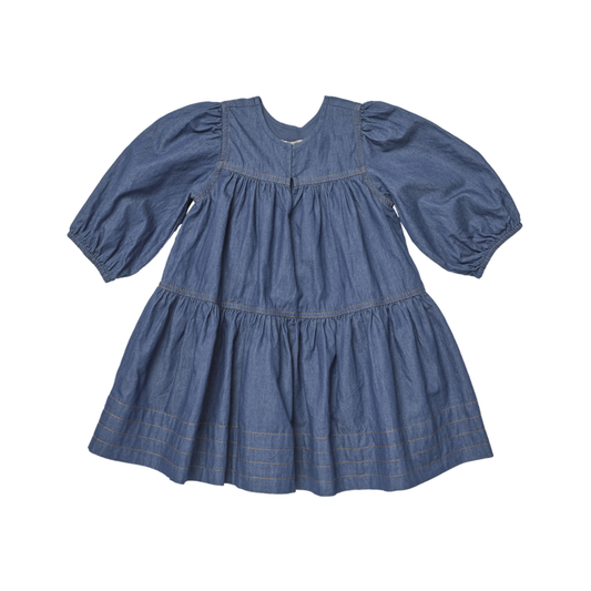 Pink Chicken Chambray Sawyer Dress