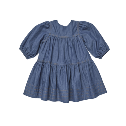 Pink Chicken Chambray Sawyer Dress