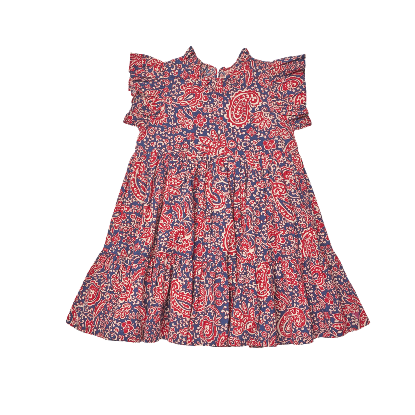 Pink Chicken Paisley Vines Jennifer Dress
