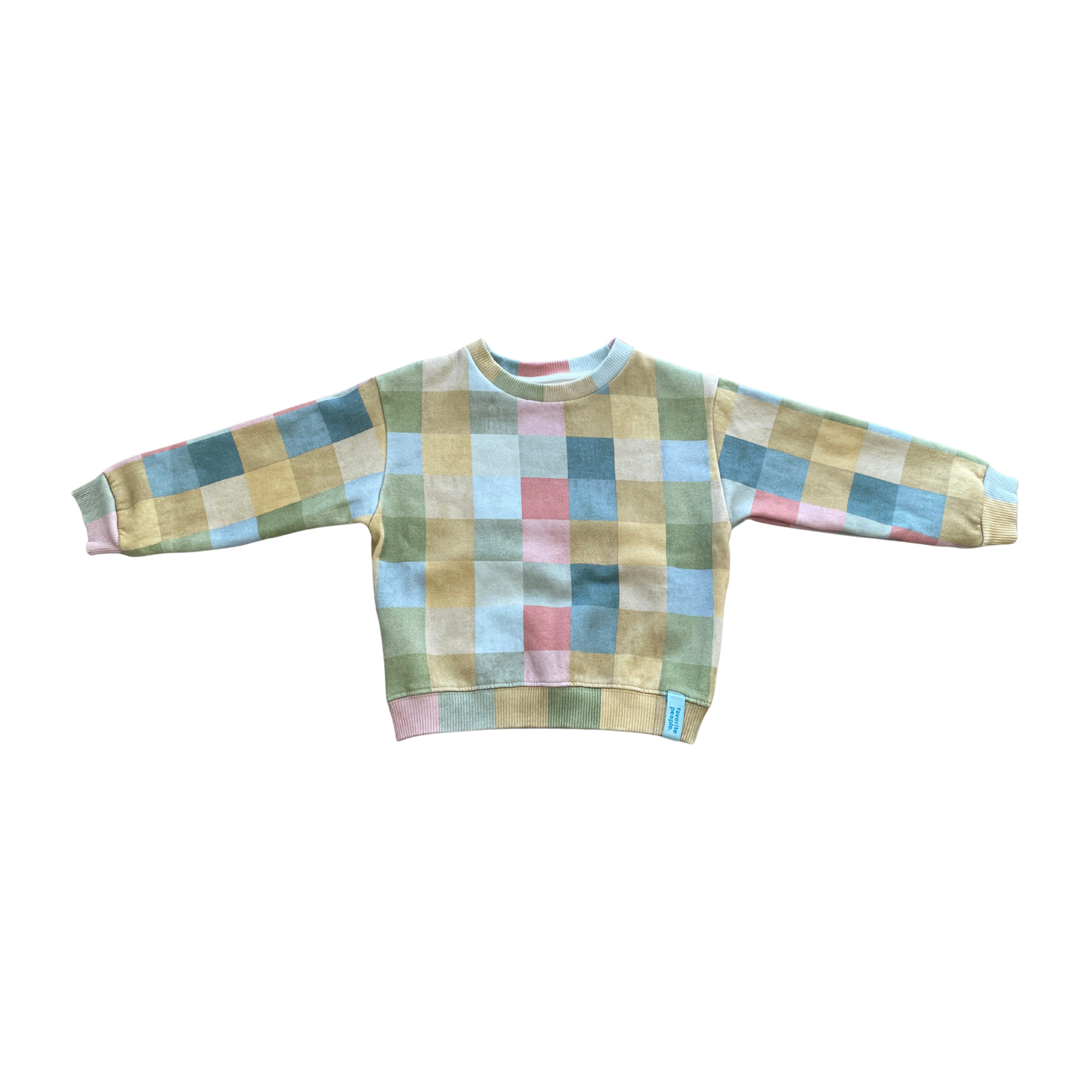 Favorite People Multi Green Roller Skates Sweatshirt
