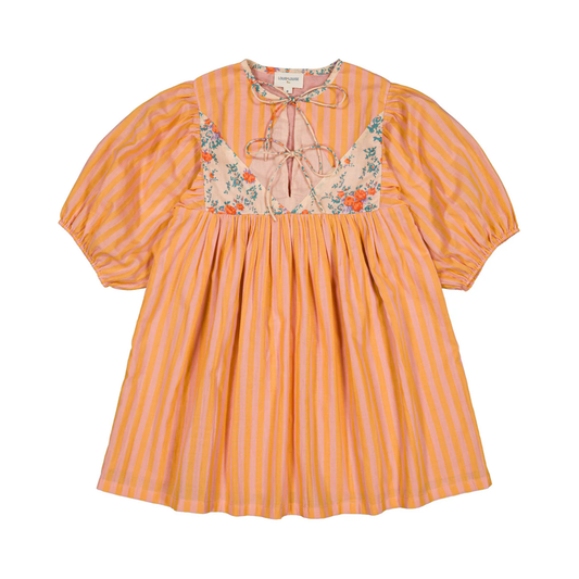 Louis Louise Pink/Orange Pauly Cotton Big Stripe Dress