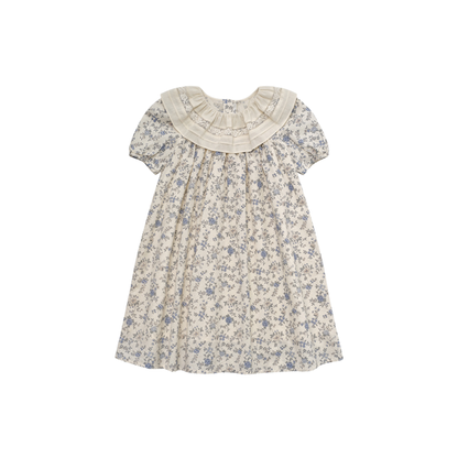 Louisiella Vintage Blue Helisei Dress