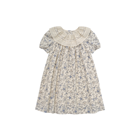 Louisiella Vintage Blue Helisei Dress