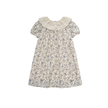 Louisiella Vintage Blue Helisei Dress