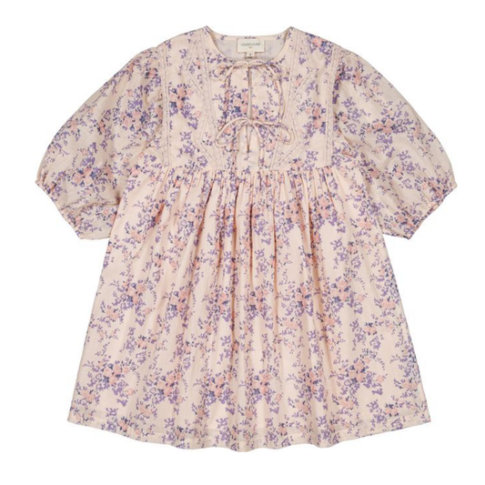 Louis Louise Pink/Mauve Paula Bouquet Short Sleeve Dress
