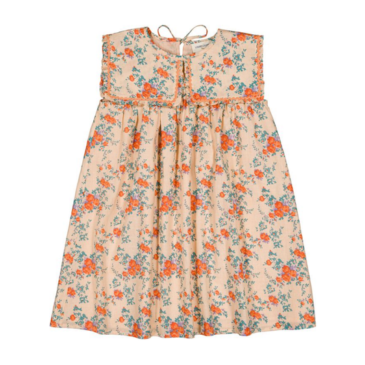Louis Louise Nude/Orange Celestine Bouquet Sleeveless Dress