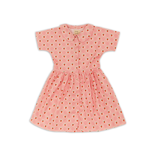 Wander & Wonder Pink Strawberry Aria Check Dress