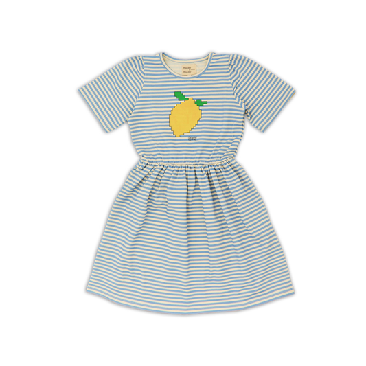 Wander & Wonder Sky Stripe Lowri Dress