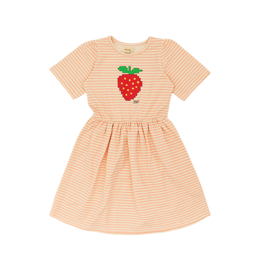 Wander & Wonder Blush Stripe Lowri Dress