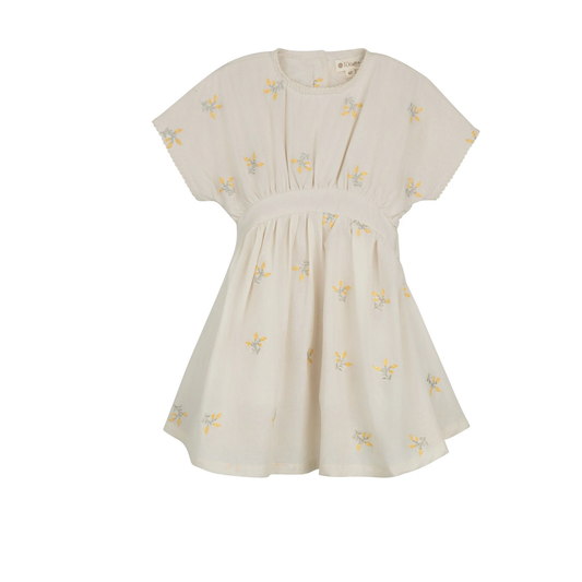 Looms Ivory Embroidered Floral Short Sleeve Dress