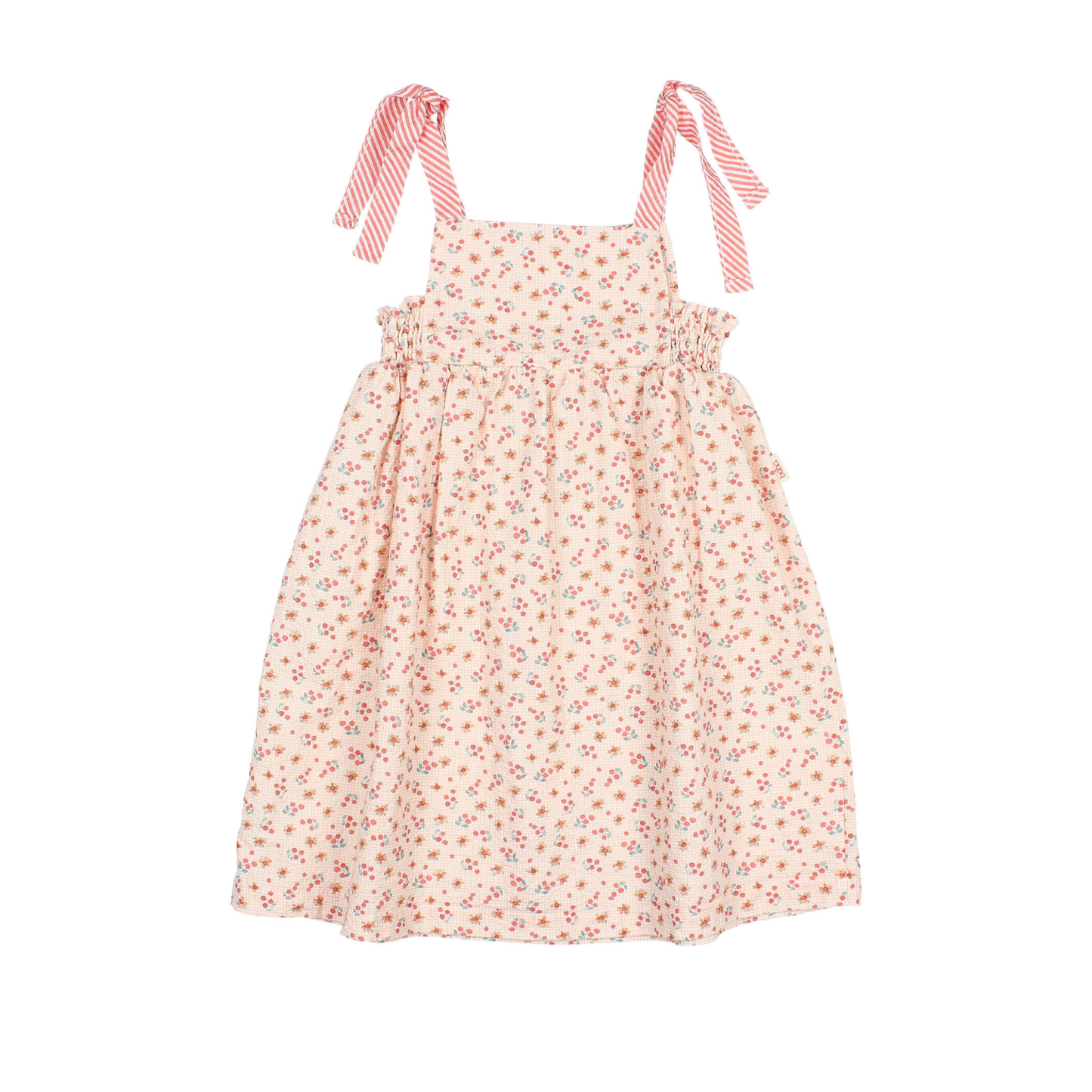 Buho Coral Fruits Picnic Dress