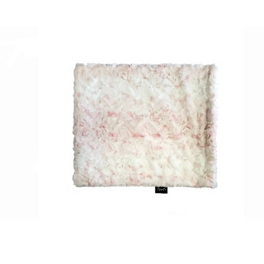 Winx And Blinx Owl Ds Minky Blanket