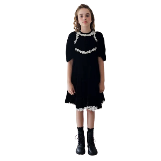 Petite Amalie Rose Lace Velvet Dress
