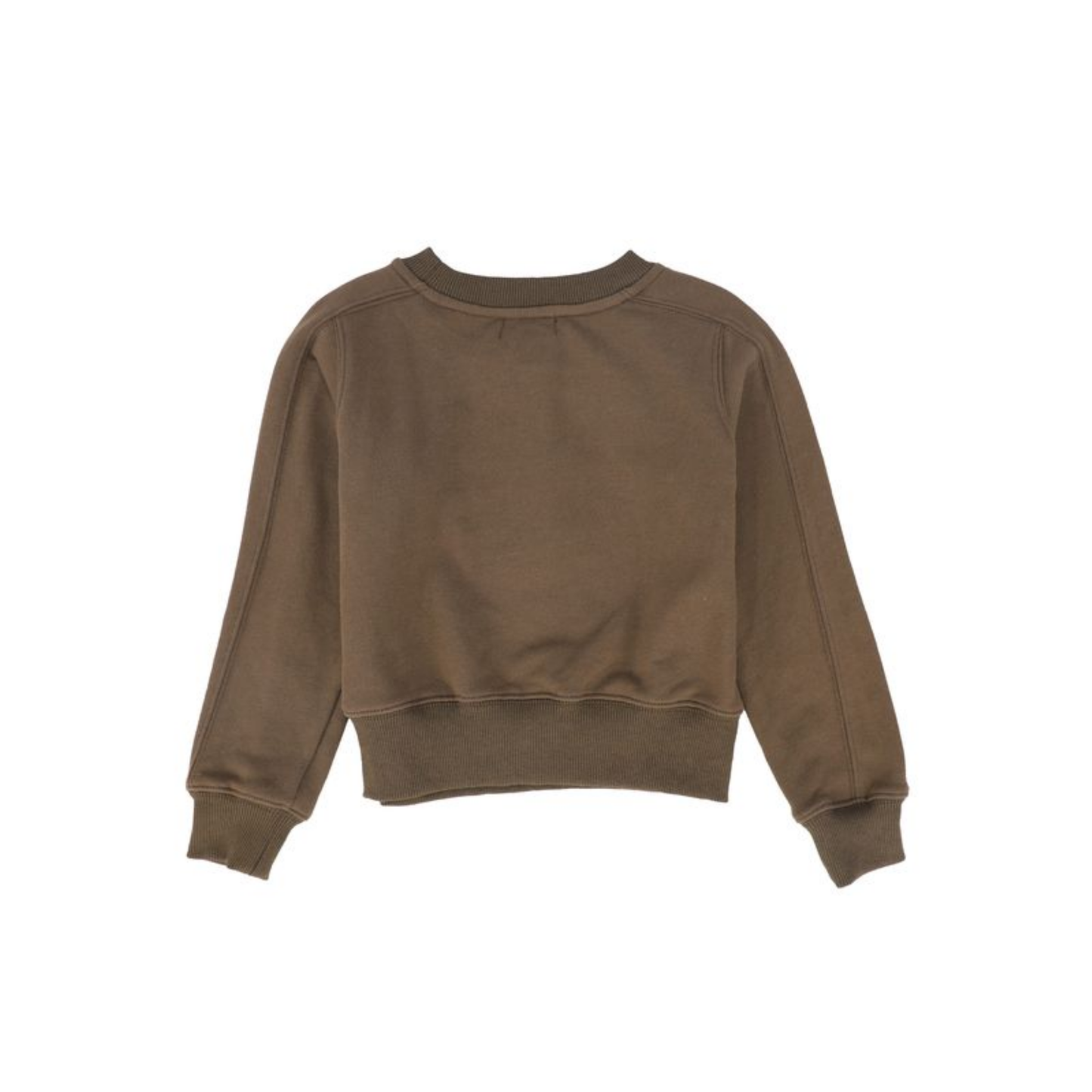 Bace Brown Embroidered Seam Sweatshirt