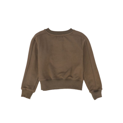 Bace Brown Embroidered Seam Sweatshirt