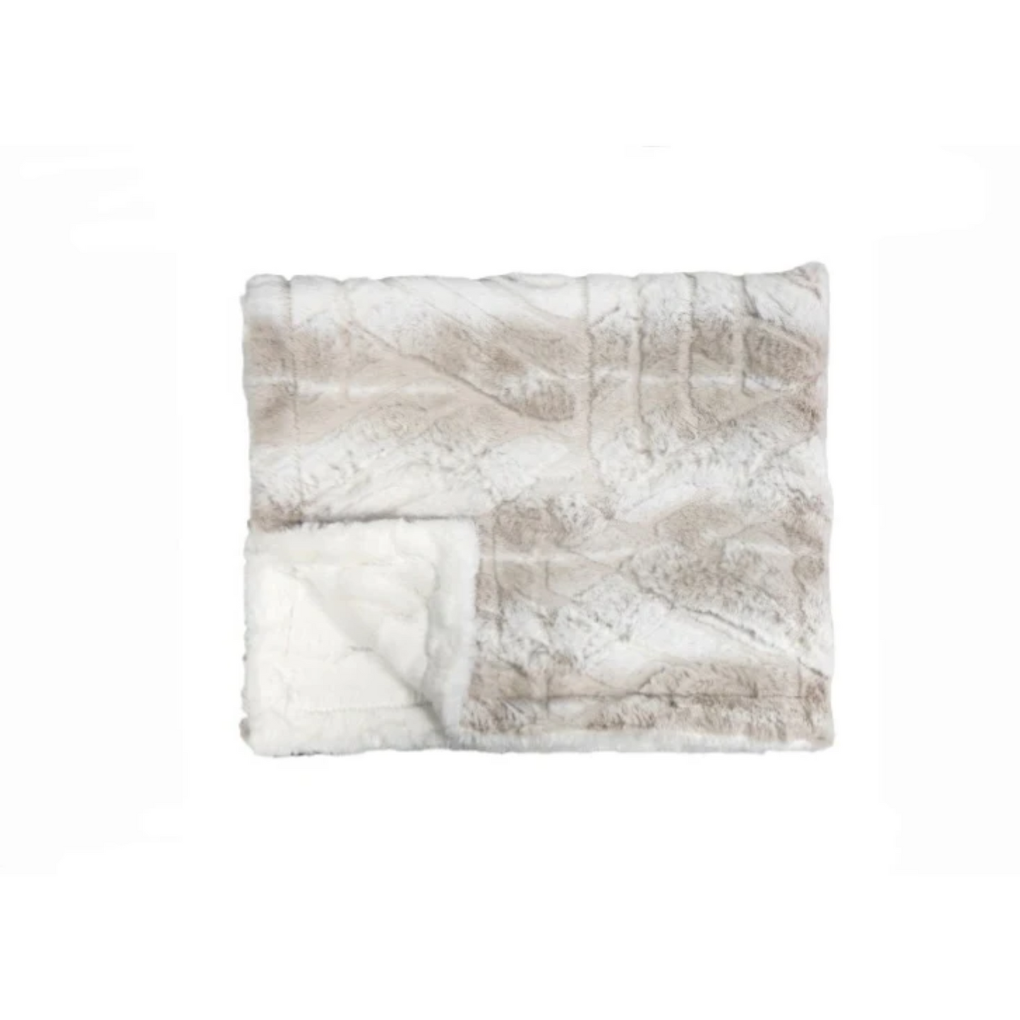 Winx And Blinx Embossed Ombre Minky Blanket