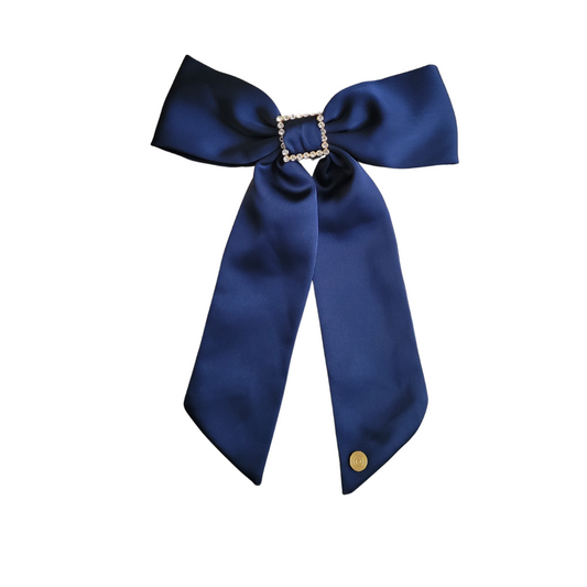 Cherie Silk Buckle Clip