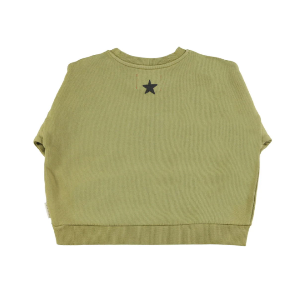 Piupiuchick Tiger Print Sweatshirt